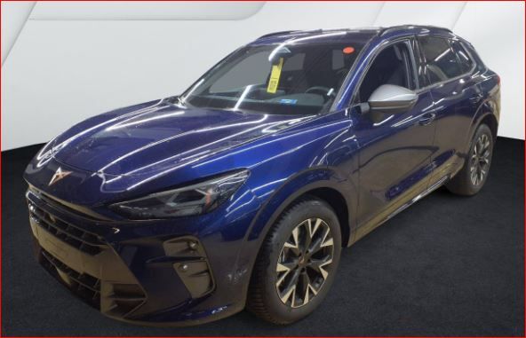 Cupra Terramar 2.090 km 37.750 &euro; Hünxe 46569