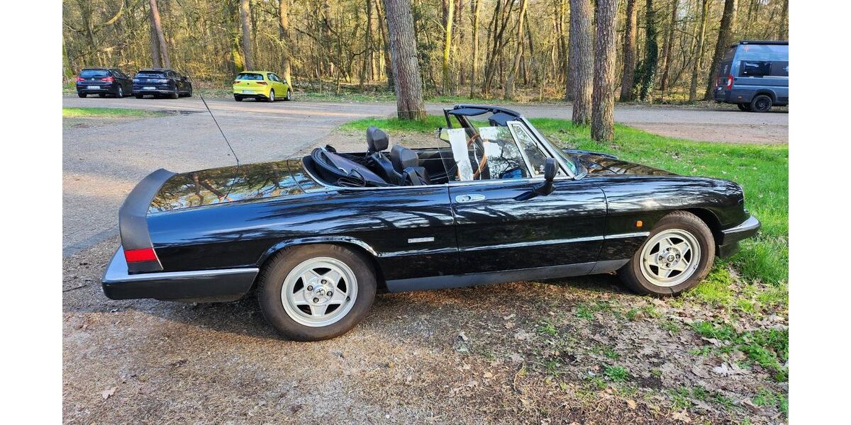 Alfa Romeo Spider 117.594 km 9.999 &euro; Herne 44623