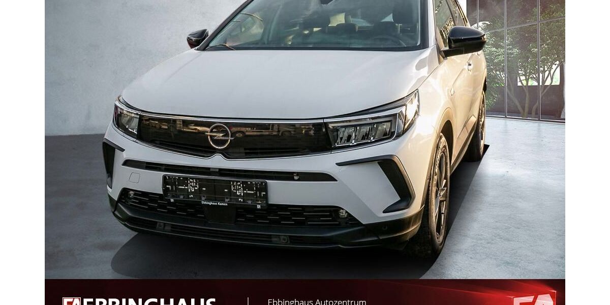 Opel Grandland (X) 51.397 km 20.980 &euro; Dortmund 44149
