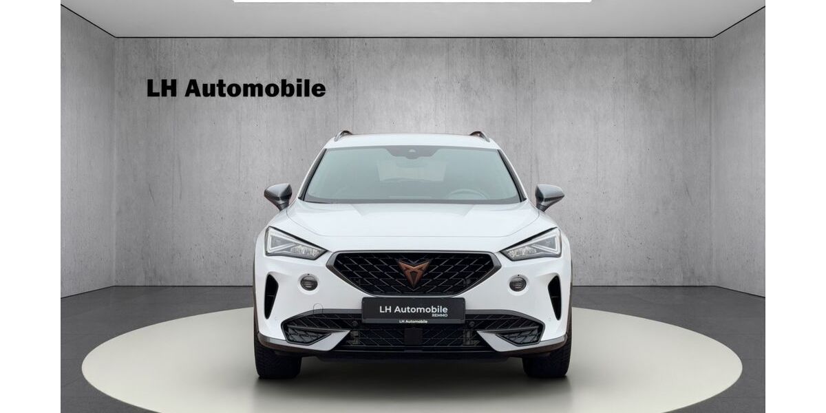 Cupra Formentor 20.873 km 29.990 &euro; Lüdinghausen 59348