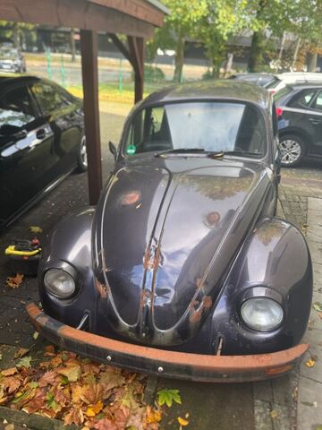 Gebrauchte VW Käfer