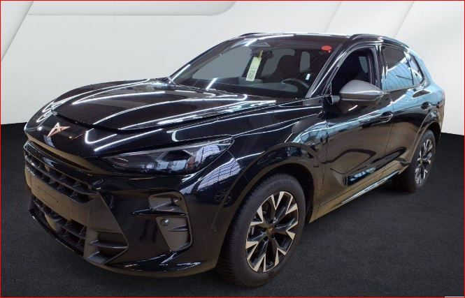 Cupra Terramar 22.410 km 37.980 &euro; Hünxe 46569