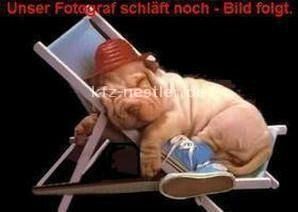 Porsche Cayenne 67.800 km 59.950 &euro; Essen 45134