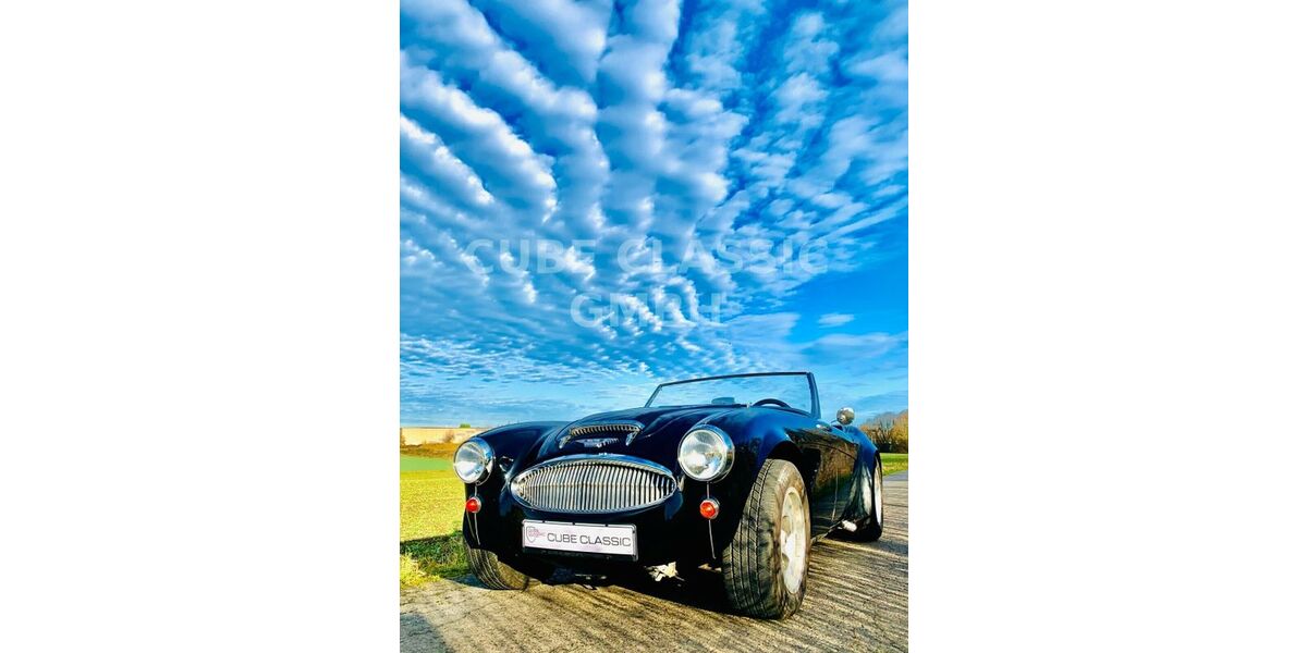 Austin Healey Andere 60.000 km 59.800 &euro; Essen 45127