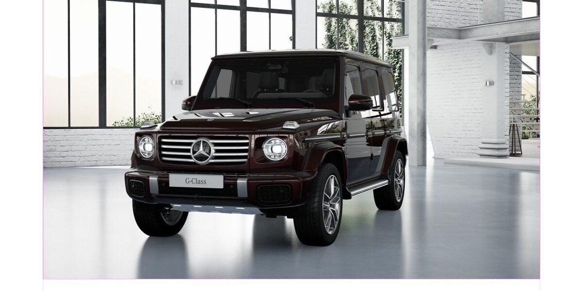 Mercedes-Benz G 450 6.200 km 162.900 &euro; Dortmund 44147