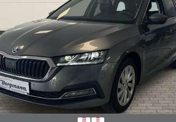 Skoda Octavia 9.600 km 31.990 &euro; Dorsten 46282