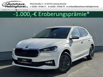 Gebrauchte Skoda Fabia