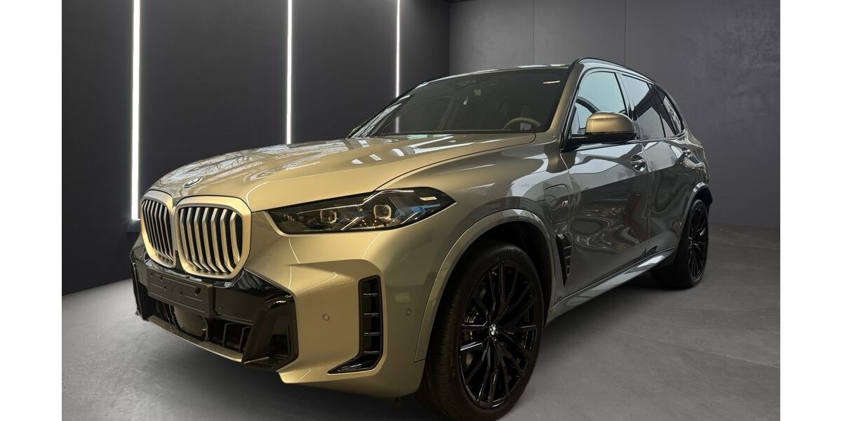 BMW X5 1.200 km 95.890 &euro; Bottrop 46236