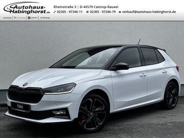 Gebrauchte Skoda Fabia
