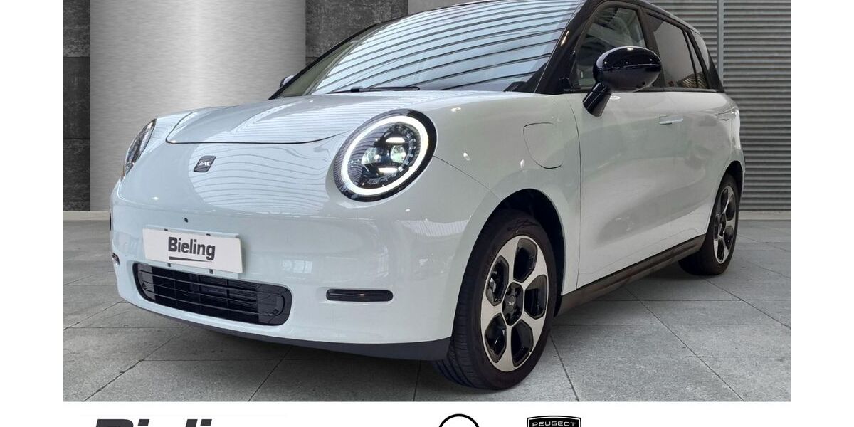 JAC Andere 4.000 km 29.990 &euro; Herten 45699