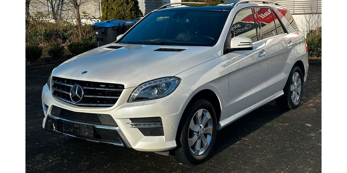 Mercedes-Benz ML 350 124.462 km 26.000 &euro; Waltrop 45731